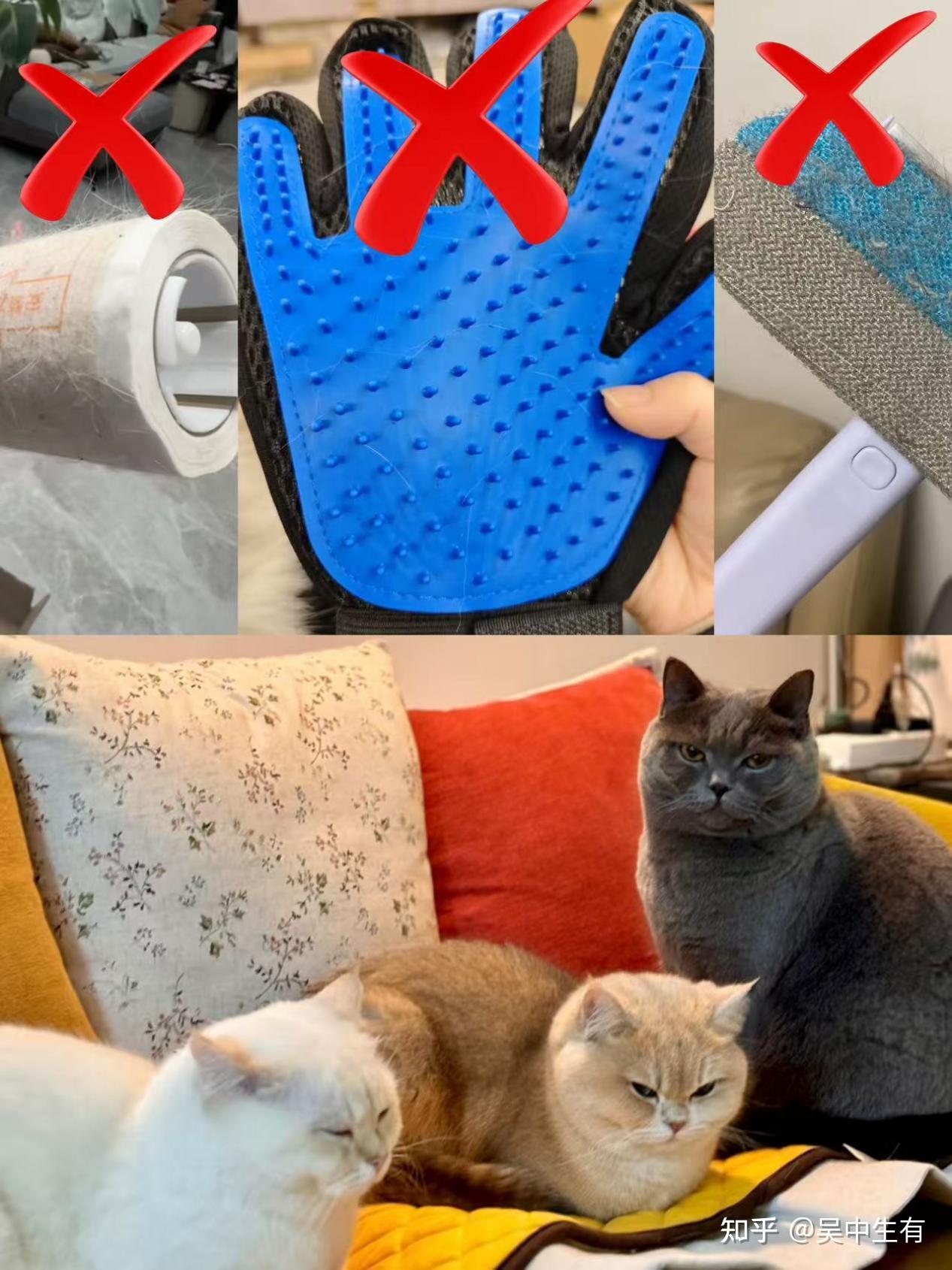 养猫家庭到底怎么高效去除猫毛?吸尘器真的能解决我家猫毛遍地是的问题吗?对比10+吸尘器终于选到自己想要的!!