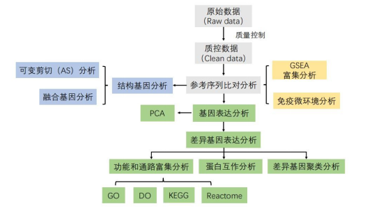 转录组｜真核转录组测序 - 知乎