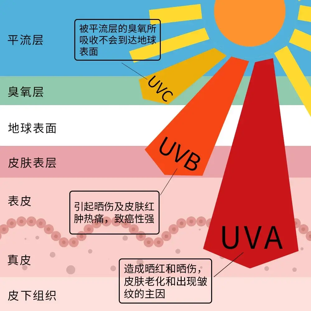 紫外线究竟为何物