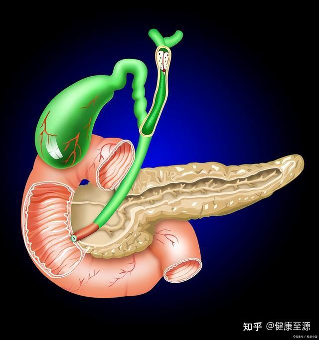 oddi括约肌痉挛图片