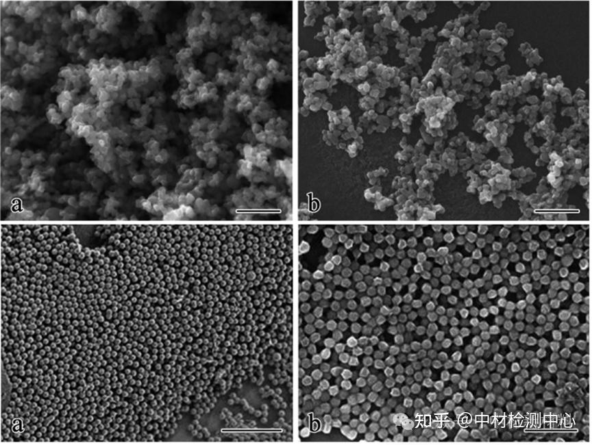 不同类型 SEM 样品制样方法汇总 - 知乎