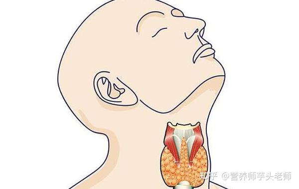 后来,国家为了预防甲状腺肿大和克丁病