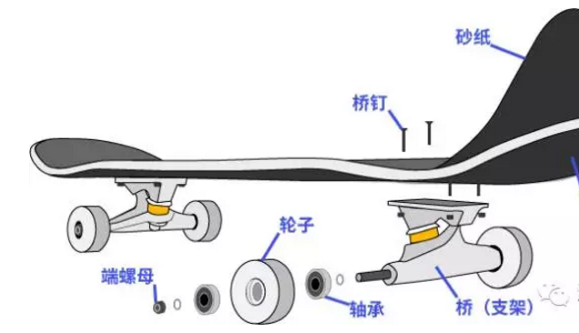 滑板结构分解图图片