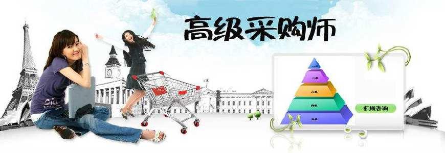 拥有海归背景,如今在一家美资企业担任采购总监的make用近10年的职场