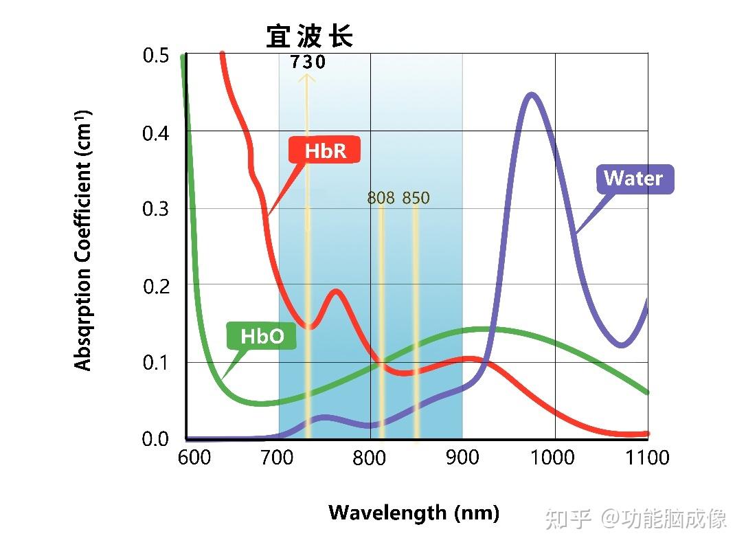 fNIRS中光传播与穿透深度 - 知乎