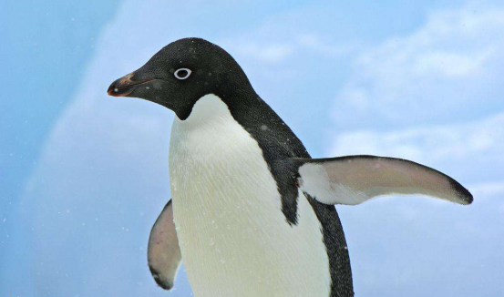 v2-c45fb5d09f44caa84850032d27667e93_r.jpg