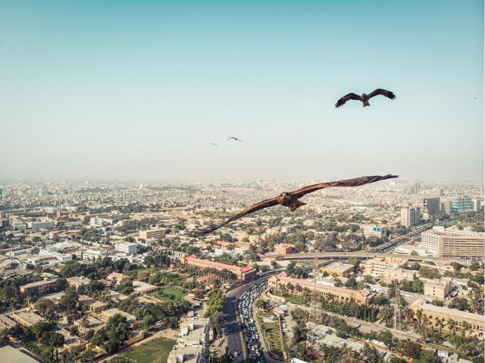 大疆御pro和air哪个更好?