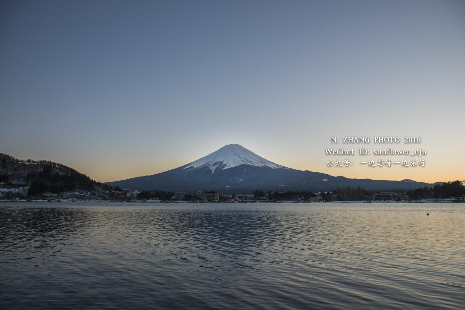 柚子富士山下图片