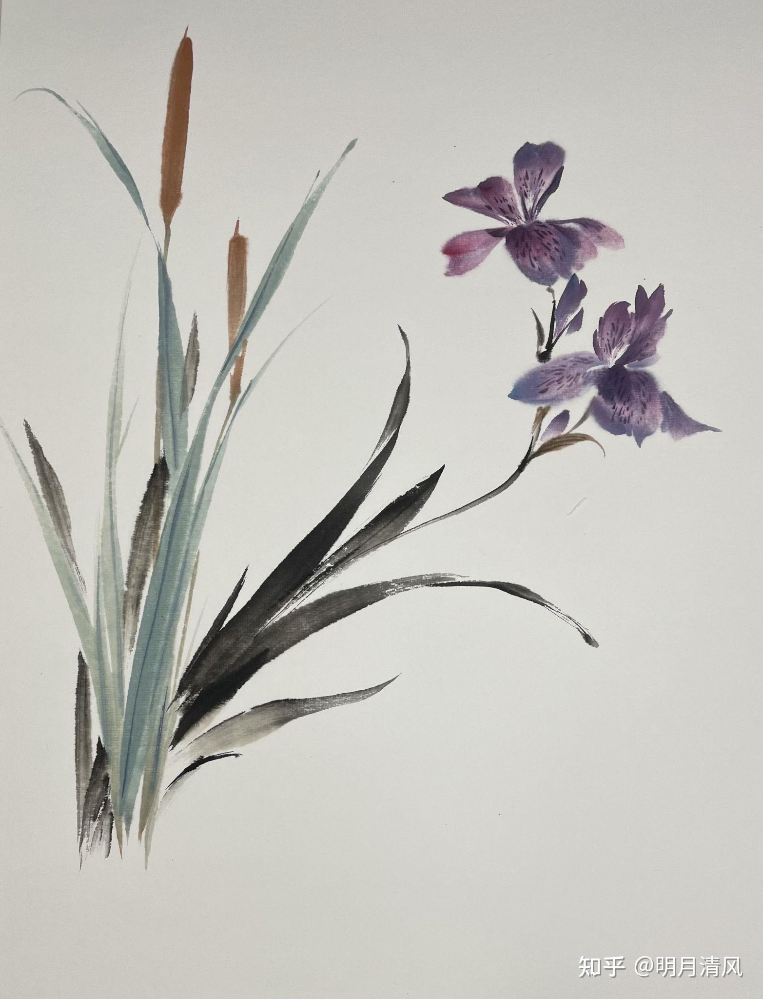 《花弄影》香蒲和鸢尾花的详细画法 - 知乎