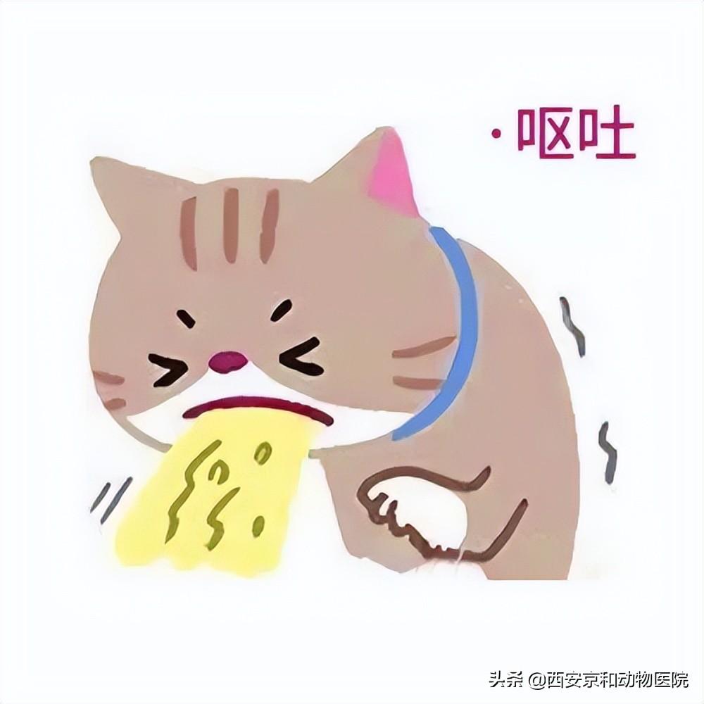 猫瘟初期有哪些症状?