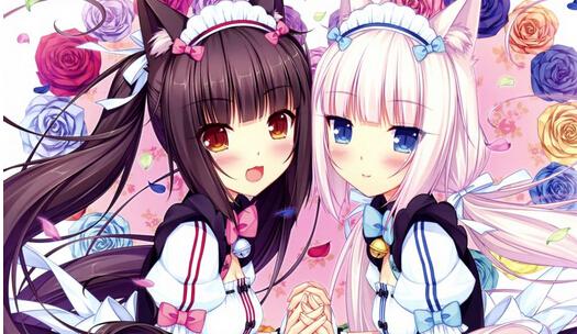 为什么我宁愿花5块钱给小猫买火腿肠,而不愿意