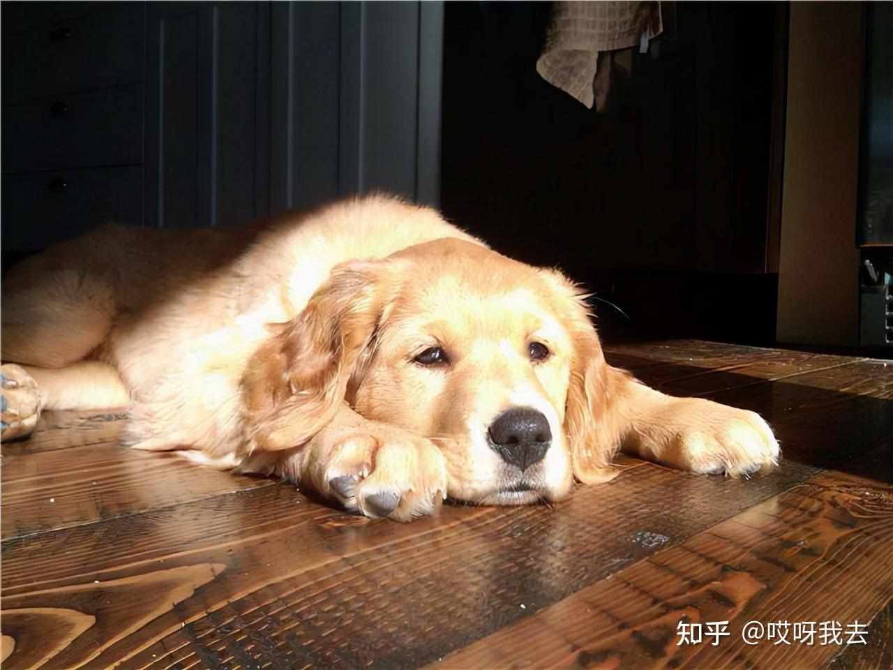 靠在窗边晒太阳