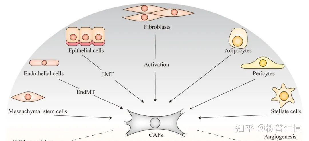 m6a regulator-mediated methylation modification patterns and