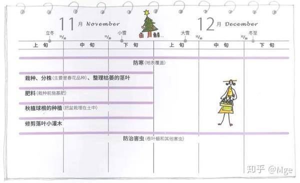 想打造一个属于自己的宿根花园吗 知乎