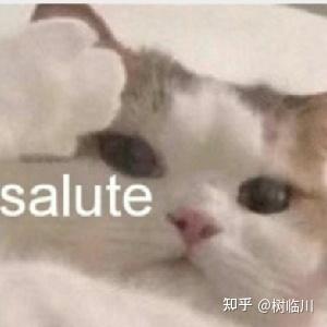 v2-c4a8d3e84a3337f8fba40f3b1b35ebaf_b.jpg
