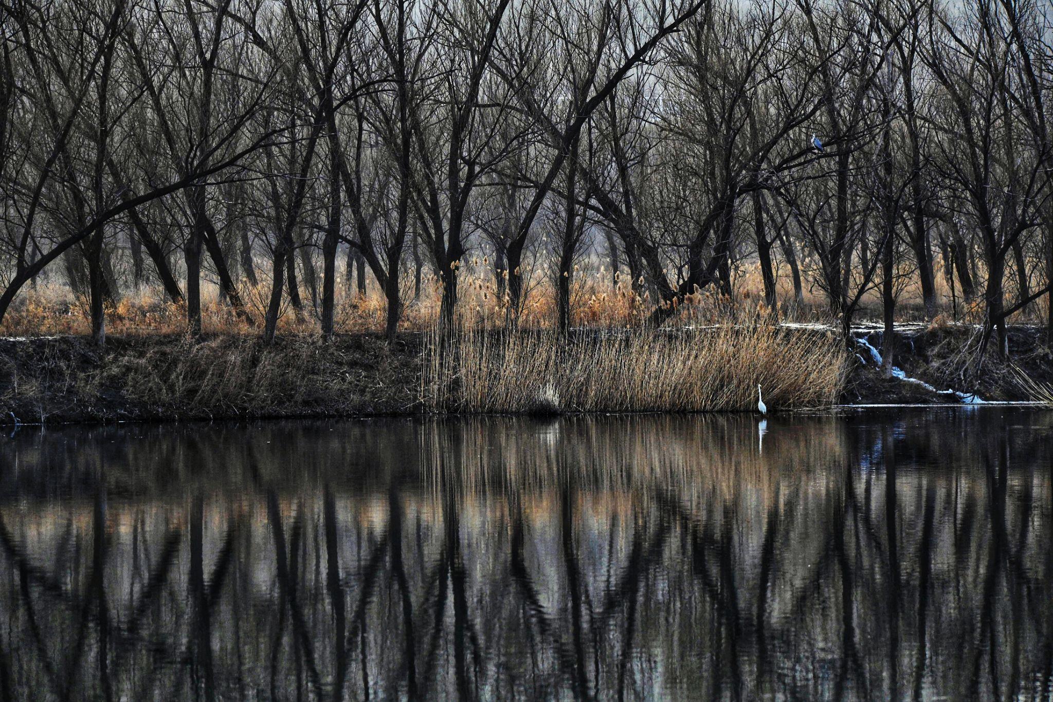 随拍随忆 - 知乎