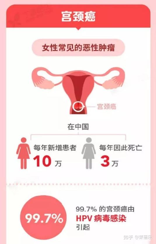 根据相关数据统计,宫颈癌是仅次于乳腺癌的女性高发恶性肿瘤,几乎所有