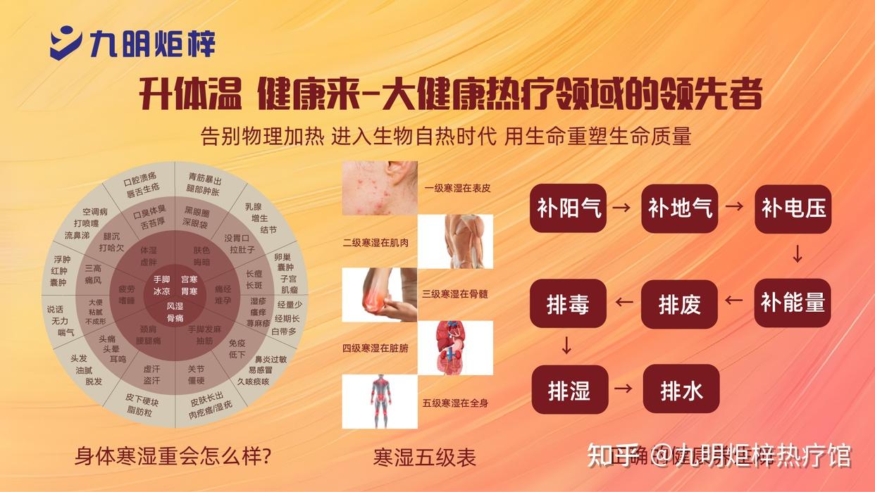 中医为何把人的健康看做整体?从《黄帝内经》了解中医的整体观念 - 知乎