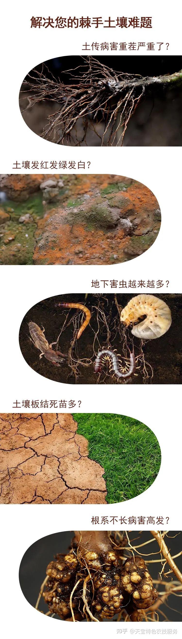 牛粪、马粪、羊粪、鸡粪有啥不同?哪种更好? - 知乎
