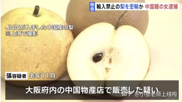 中国女子在日本因为28斤的梨被捕 - 知乎