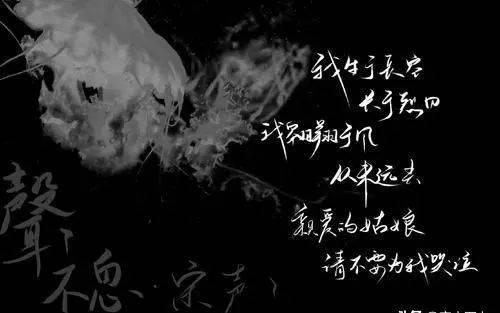 犯罪心理品读六如果一定要追星宋声声有三大让你不得不追的理由