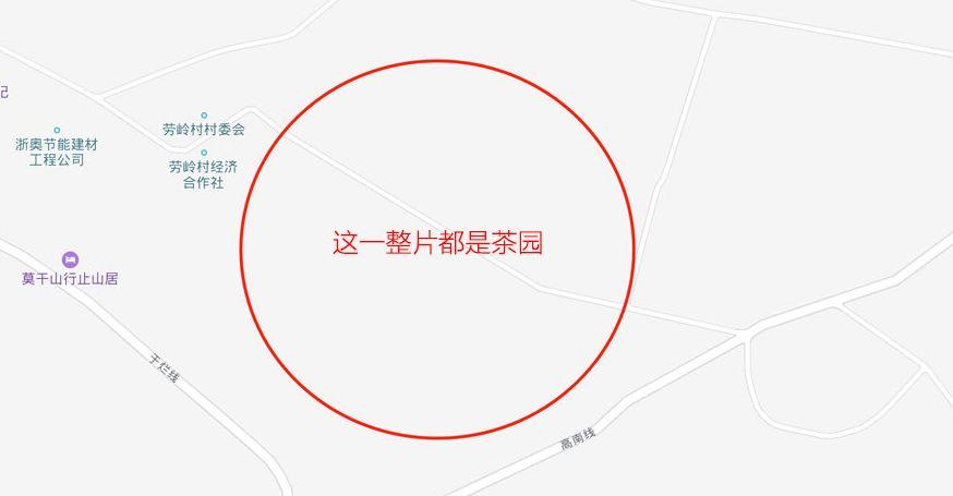 带你一次性打卡,杭州18个拍照圣地!