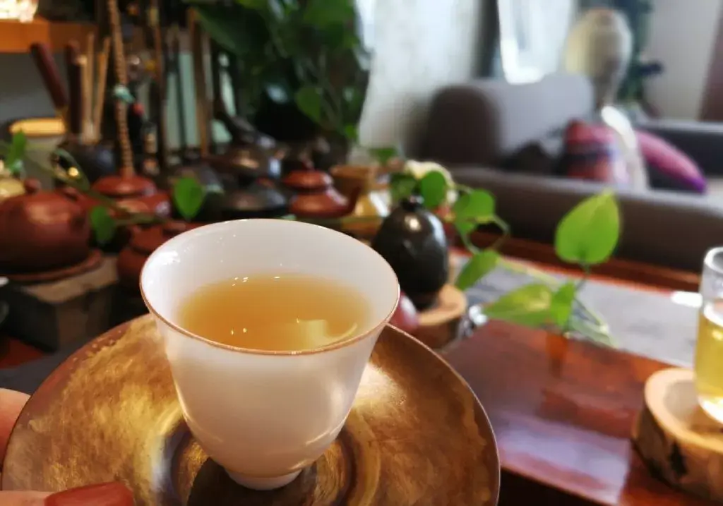 喝普洱茶的人都得了这几种病,别不承认! - 知乎