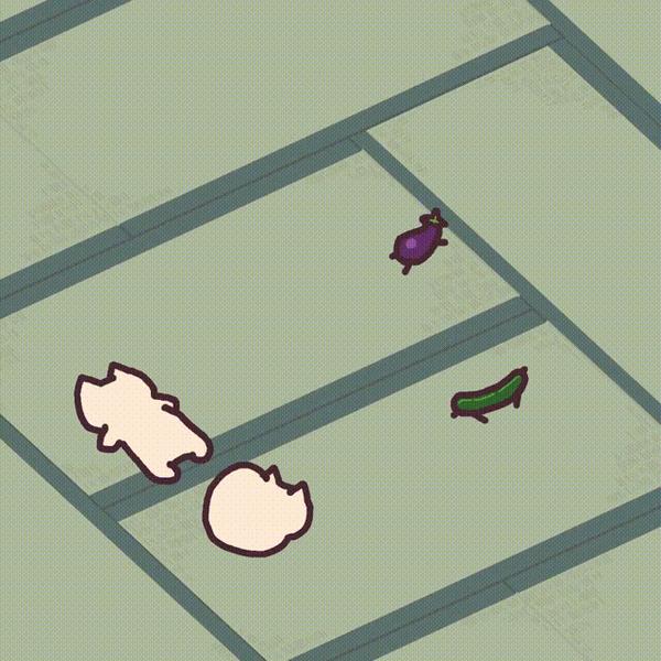 魔性猫猫everydayonecat表情包