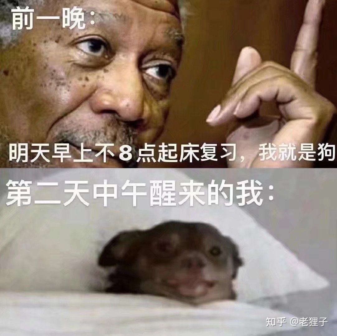 优享资讯 你最近明白了什么道理