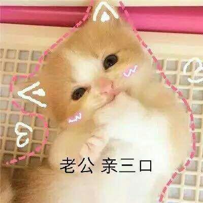 v2-c50f874a23810ac2ffdb87d1a6322ad3_b.jpg