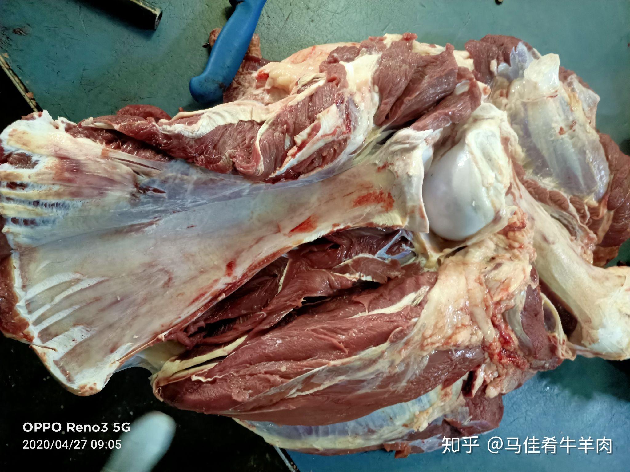 新鲜牦牛后来了原厂屠宰