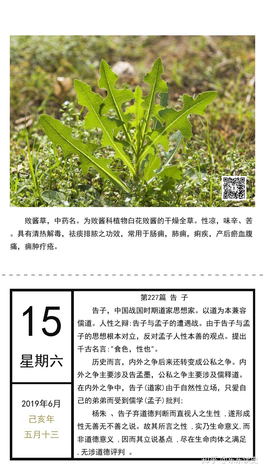 第227篇 告子 - 知乎