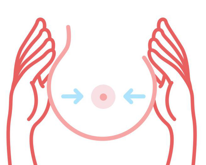 2 :大拇指和食指放于乳晕边缘位置(距离乳头2cm),其余三指托住乳房