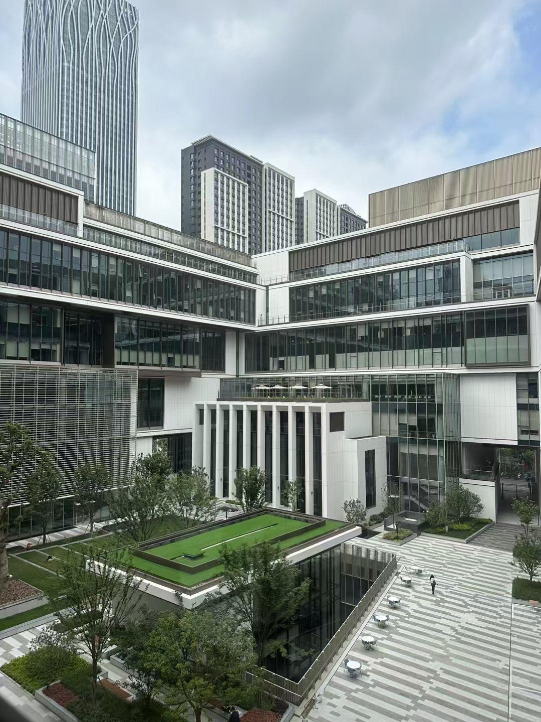 上海纽约大学新校区