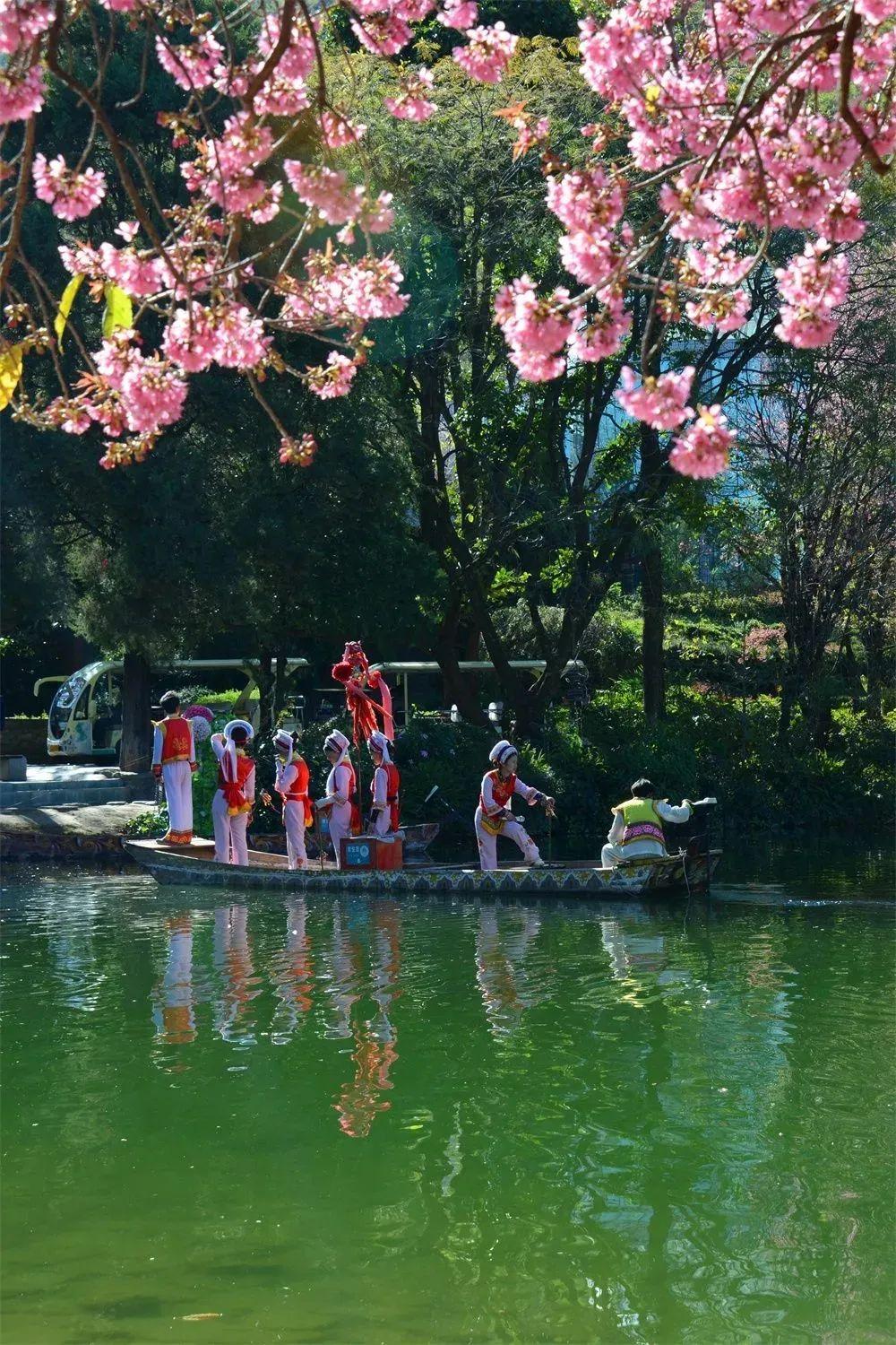 蝴蝶泉公园