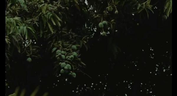 《父影之下》首作就被选送奥斯卡，这导演太神了