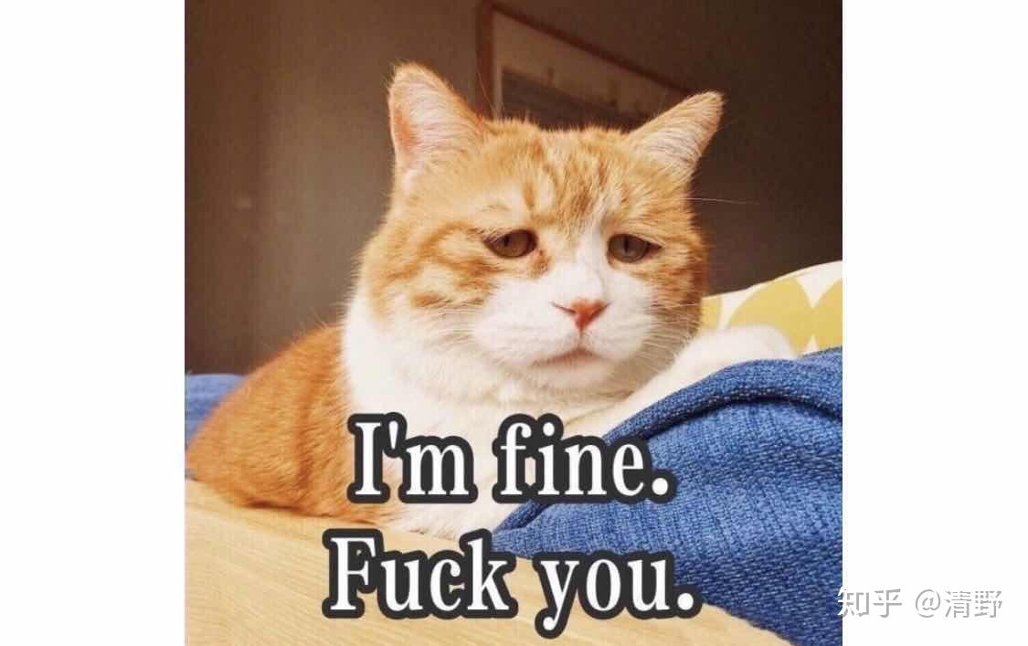 是你的小欣啊 v2-c55e31ce7756b7d301f9c959914788b3_r.jpg