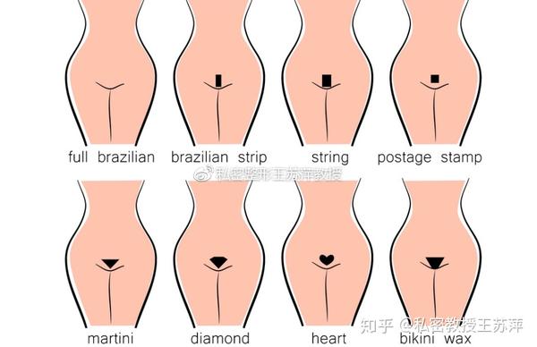 女性阴毛都有什么作用 知乎