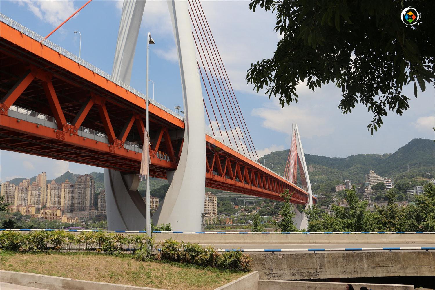 鹅公岩大桥,菜园坝大桥,千厮门大桥,朝天门大桥,东水门大桥,长江大桥