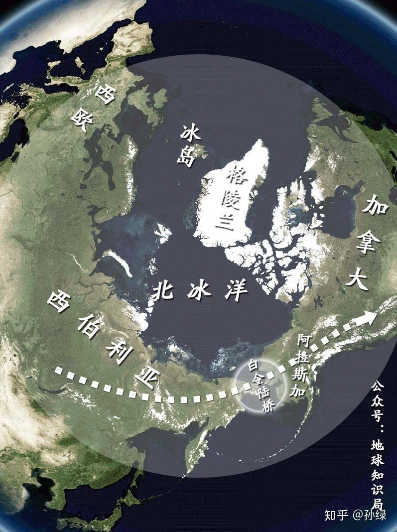 适应了寒冷的大型动物们也得以走向北美大陆白令海峡也是冻在一起的在