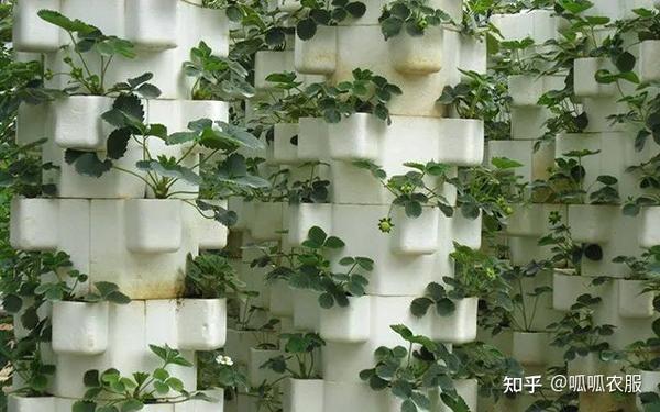 【现代农业】4大现代农业种植模式，13种栽培方式，你用的是哪种？ - 知乎