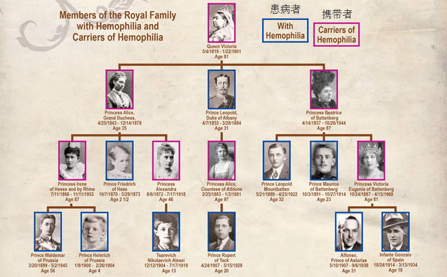 在众多罕见病中,血友病(hemophilia)是知名度最高的之一,一度被称为