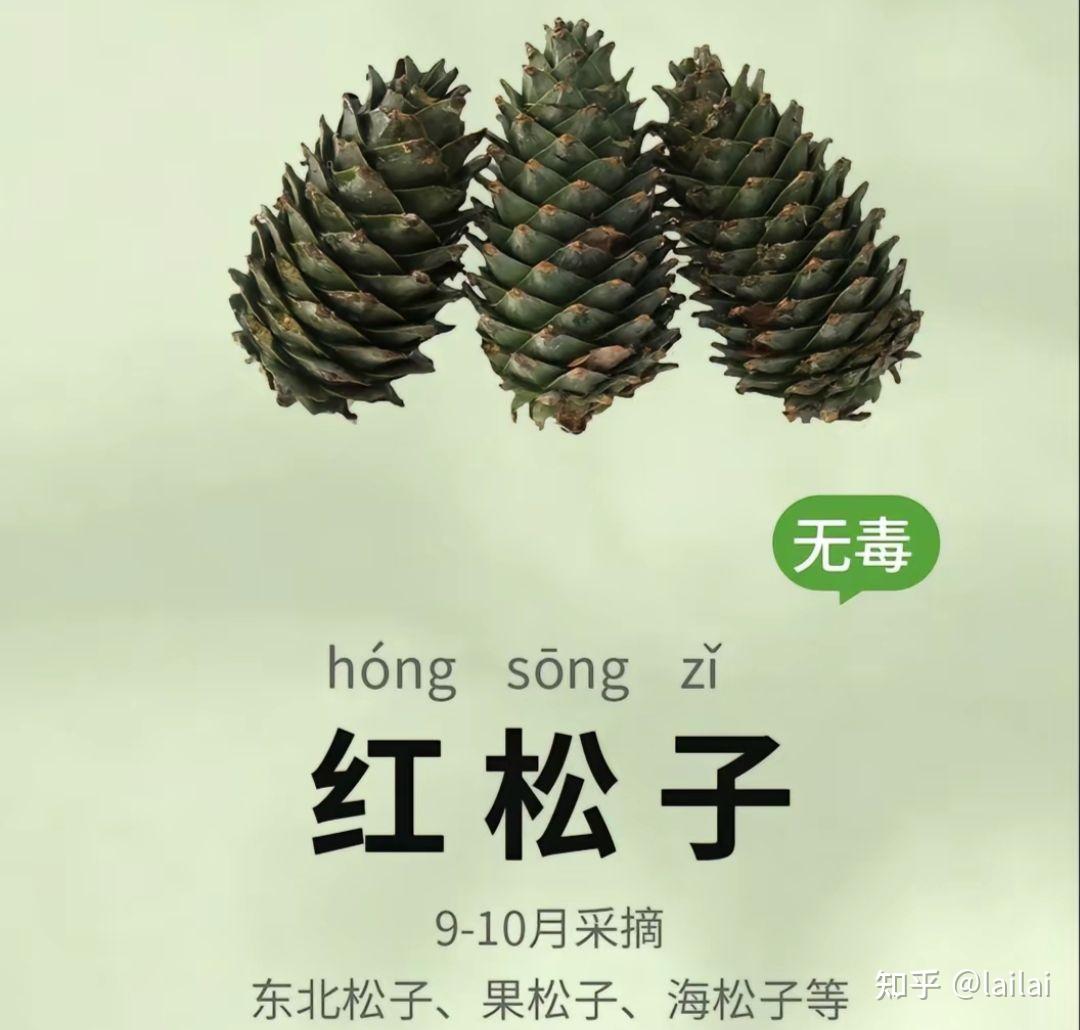 长白山的