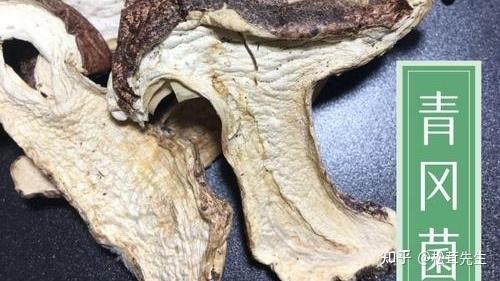 青杠菌(青冈菌)