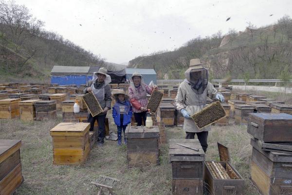 蜂巢基金支持的纪录片下一步拍摄蜜蜂产业 欢迎有关方面联系 知乎