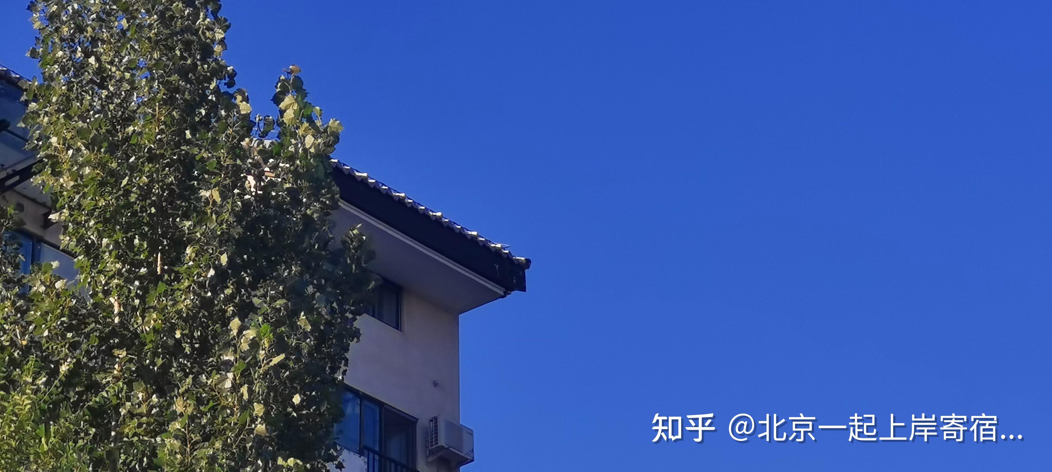 考研数学到了强化阶段要怎么复习？难度太大如何克服？这份攻略请收好~ - 知乎