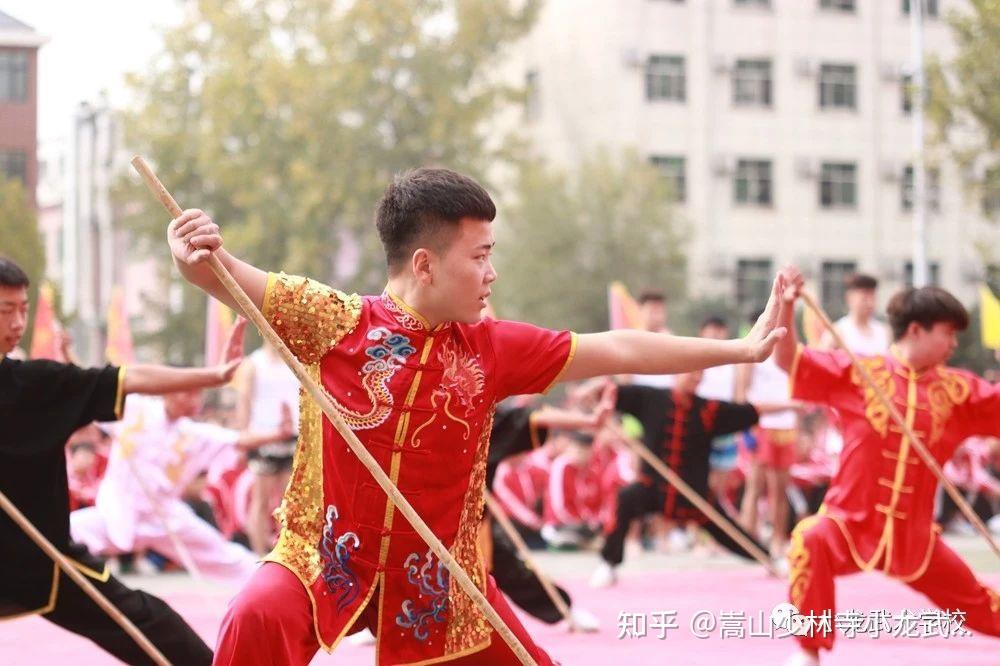 少林寺武術學校和青少年逆反學校的收費標準分別是多少