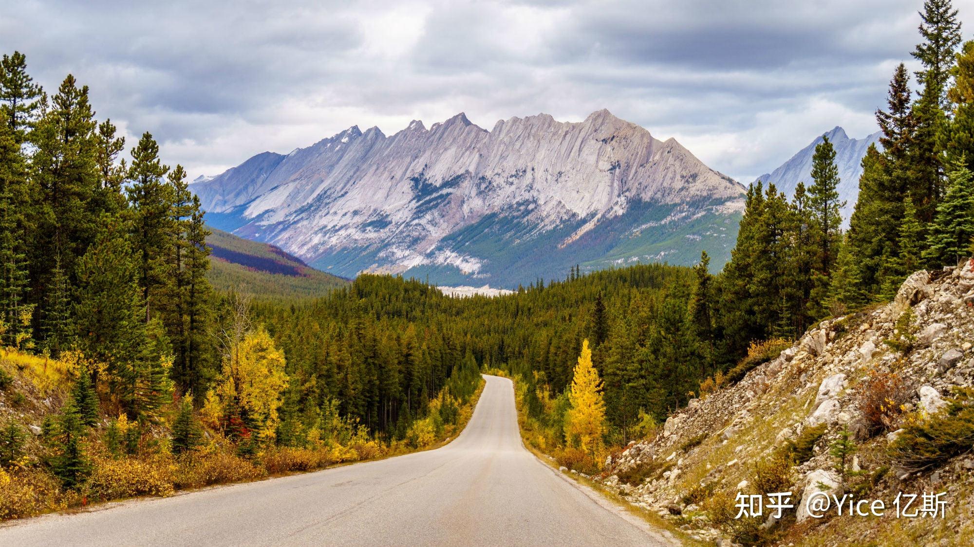 加拿大最美暗夜星空jaspernationalpark