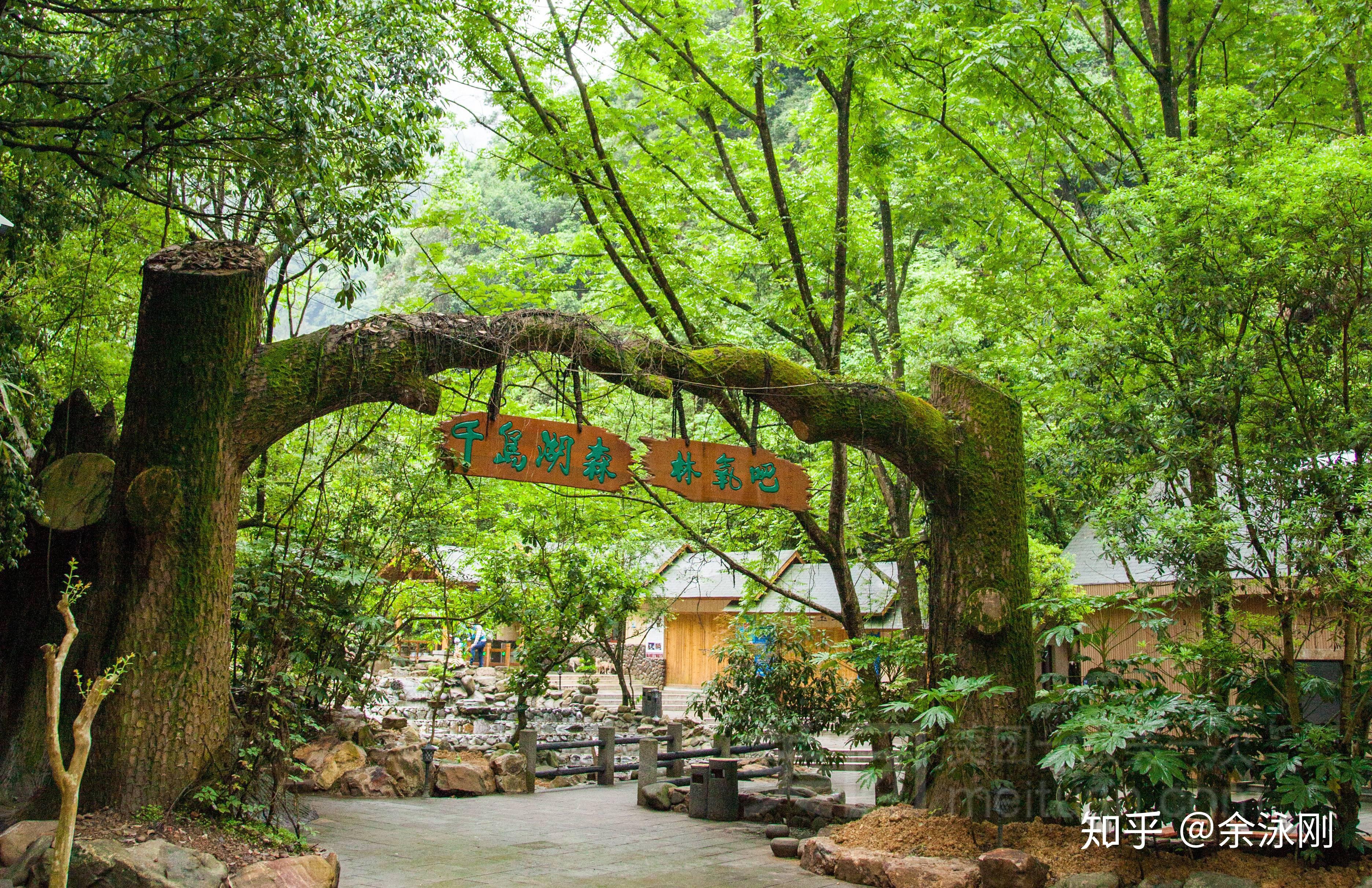 本地人的良心推荐千岛湖暑期2天1晚旅游攻略景区及线路篇