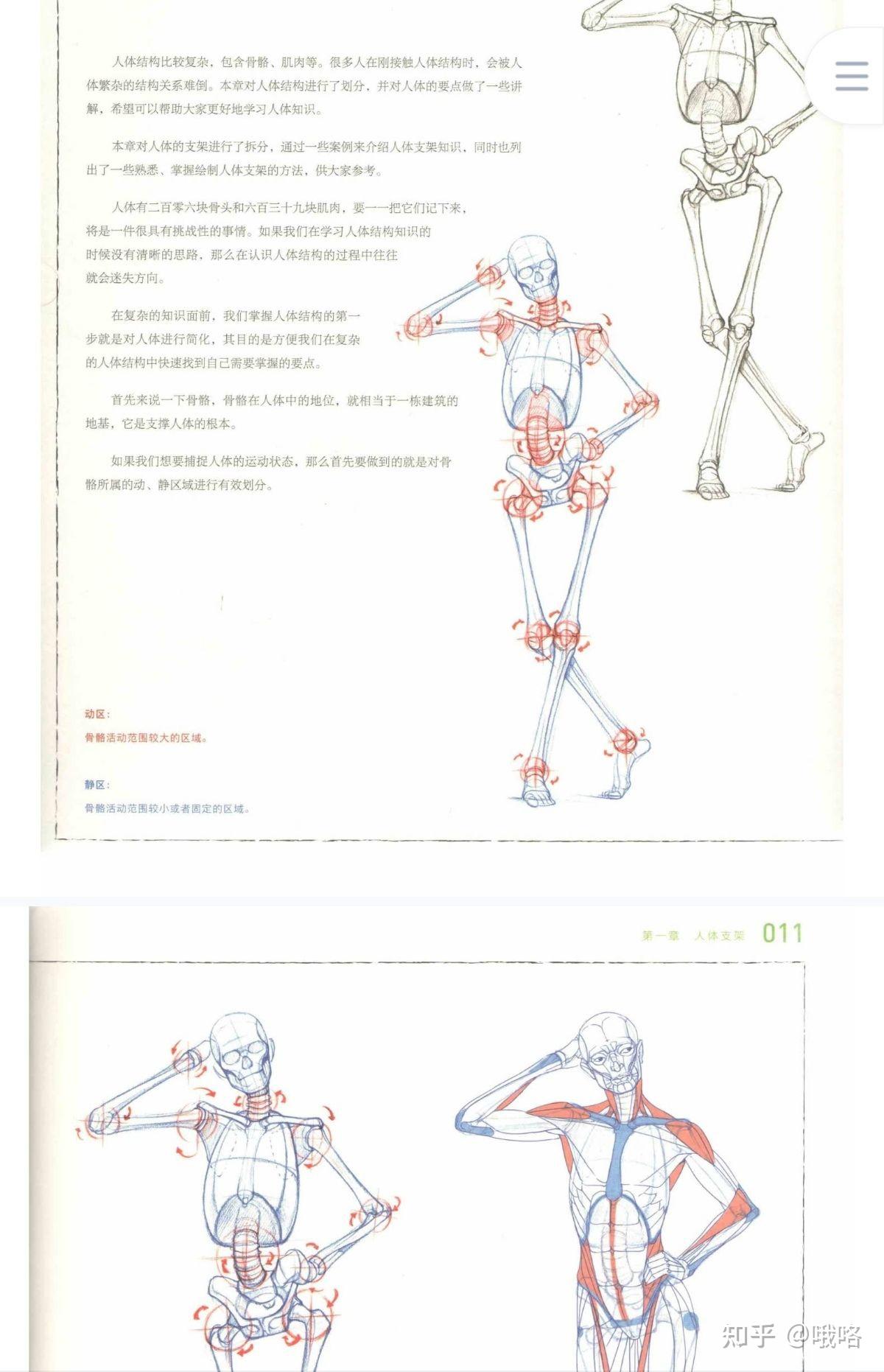 人体结构原理与绘画教学电子链接- 知乎
